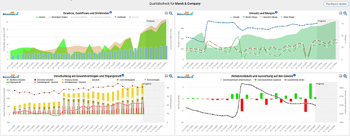 2025-12-30_09-38-47_Die_Aktien_der_besten_Unternehmen_finden_-Google